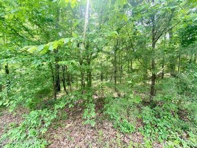 Secluded 43+ acre tract located off Hwy 27 just east of Utica - photo 8