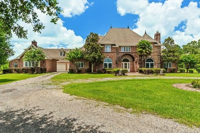 Exceptional custom home built circa 2007, offering 5 bedrooms, 5 - photo 1