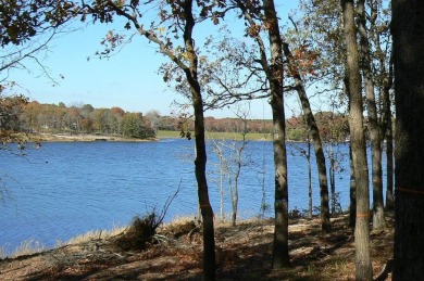 Lake Lot For Sale in Larue, Texas