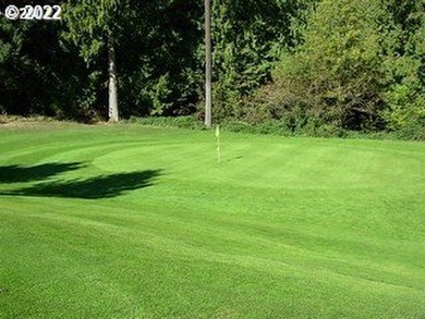 Wonderful private 60 acres currently Springwater Golf Coursees - photo 17