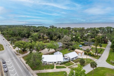 Welcome to your dream home in the heart of DeBary! This - photo 33