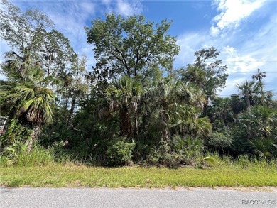 Homosassa River Lot For Sale in Homosassa Florida