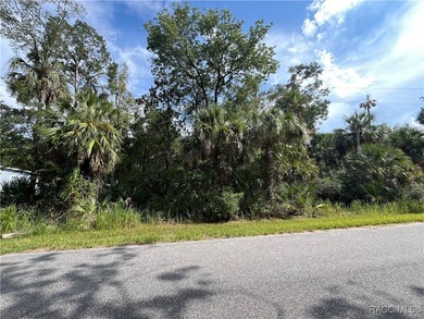 Build your Florida dream in Old Homosassa! This vacant 0.47 lot - photo 2