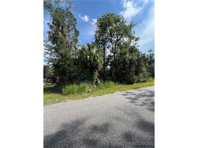 Build your Florida dream in Old Homosassa! This vacant 0.47 lot - photo 3