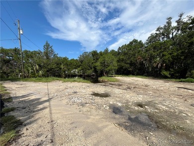 Build your Florida dream in Old Homosassa! This vacant 0.47 lot - photo 5