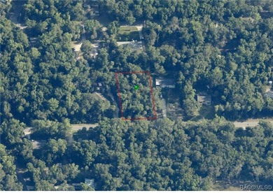 Build your Florida dream in Old Homosassa! This vacant 0.47 lot - photo 6