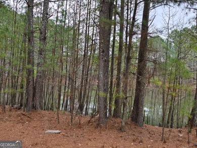 Calling for developers and builders, this listing is an - photo 12