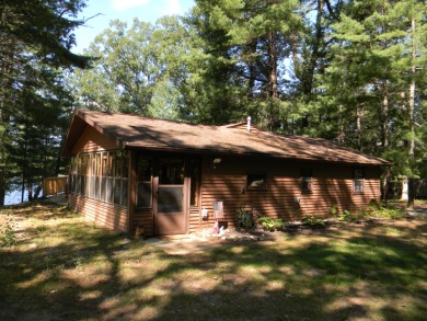 Emerson Lake - Mason County Home For Sale in Branch Michigan