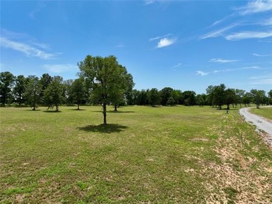 1/2 ACRE LOT IN BRAND NEW DEVELOPMENT - MOORES SUBDIVISION: Flat - photo 10