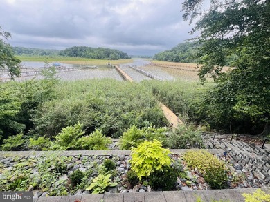 Navigable Deep Waterfront living on the Aquia Creek! Located in - photo 8