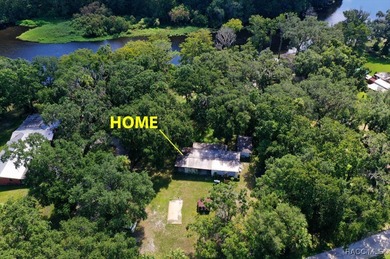 (private lake, pond, creek) Home For Sale in Inverness Florida