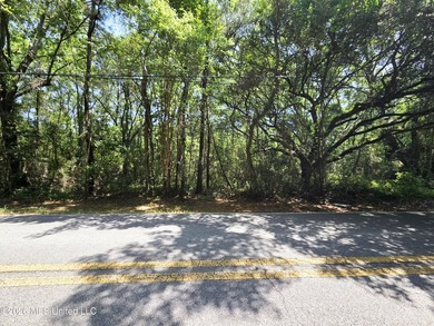 Discover 1.21 acres of opportunity on Old Spanish Trail in - photo 1