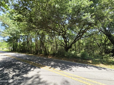 Discover 1.21 acres of opportunity on Old Spanish Trail in - photo 2