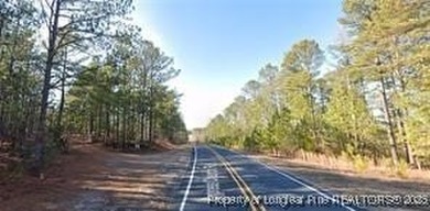 Lake Surf Acreage For Sale in Cameron North Carolina