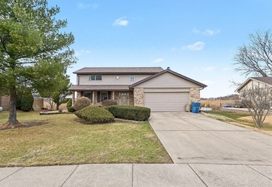 (private lake, pond, creek) Home For Sale in Orland Park Illinois