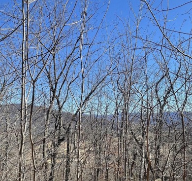 Lake Chatuge Acreage For Sale in Hayesville North Carolina