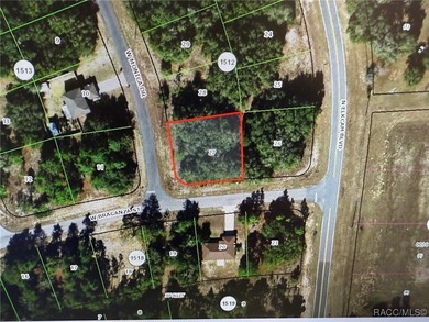 Rush Lake Lot For Sale in Dunnellon Florida