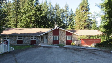 Lake Home For Sale in Brushprairie, Washington