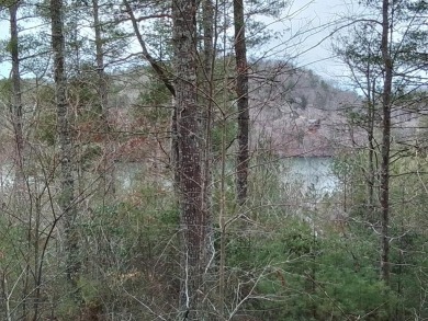 Apalachia Lake Lot For Sale in Murphy North Carolina