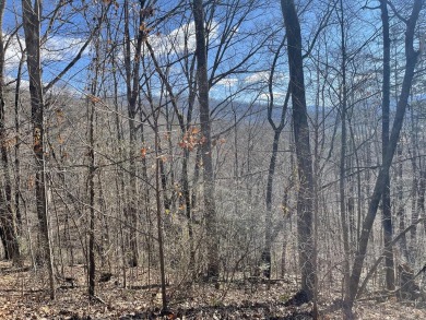 Lake Chatuge Lot For Sale in Hayesville North Carolina