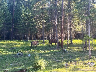 Incredibly private 10 acres with a lovely mix of meadow and - photo 27