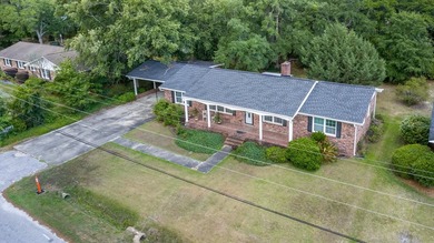 Welcome to 1872 Marion Street in Georgetown, SC, a spacious - photo 28