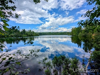 (private lake, pond, creek) Acreage For Sale in Alpha Michigan