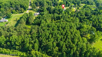 Country living at its finest! Nestled on 3.1 beautiful acres - photo 33