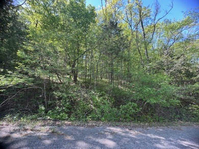 Table Rock Lake - Carroll County Lot For Sale in Holiday Island Arkansas