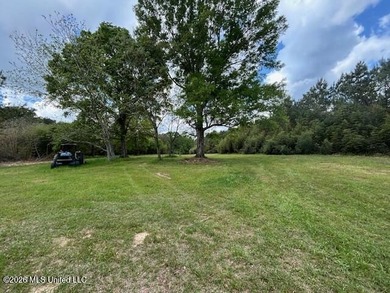 Stunning 120-Acre Recreational Retreat Near Tylertown Discover - photo 3