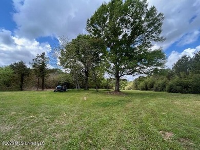Stunning 120-Acre Recreational Retreat Near Tylertown Discover - photo 4