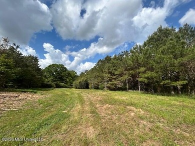 Stunning 120-Acre Recreational Retreat Near Tylertown Discover - photo 5