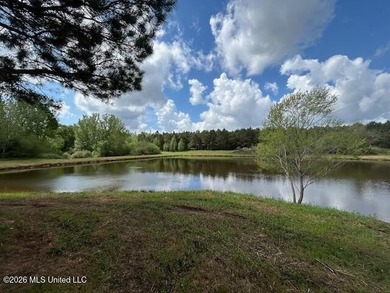 Stunning 57-Acre Recreational Retreat Near Tylertown Discover - photo 1