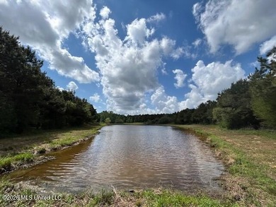 Stunning 57-Acre Recreational Retreat Near Tylertown Discover - photo 9