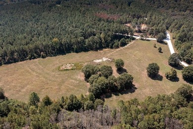 (private lake, pond, coastal) Acreage For Sale in Carrollton Georgia