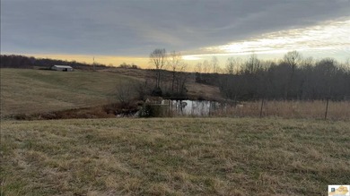 (private lake, pond, creek) Acreage For Sale in Magnolia Kentucky