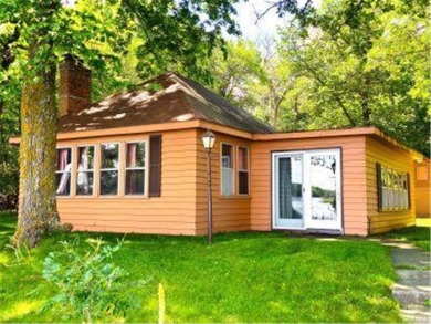Lake Home For Sale in Southside Twp, Minnesota