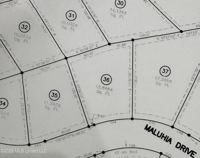 Large, beautiful partially cleared lot in Diamondhead's newest - photo 1