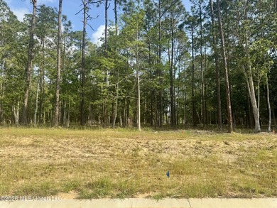 Large, beautiful partially cleared lot in Diamondhead's newest - photo 3