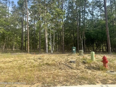 Large, beautiful partially cleared lot in Diamondhead's newest - photo 4