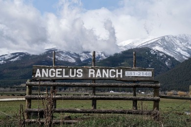 Lake Home Sale Pending in Stevensville, Montana