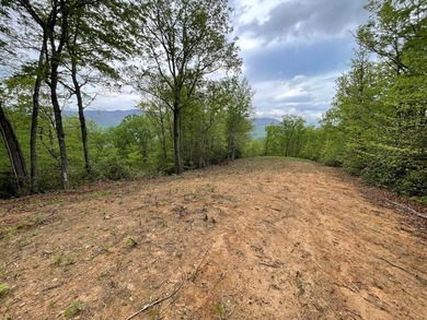 (private lake, pond, coastal) Acreage For Sale in Sylva North Carolina