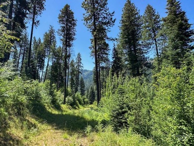 Bordering BLM land that fronts onto National Forest with direct - photo 14