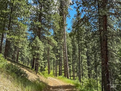 Bordering BLM land that fronts onto National Forest with direct - photo 15
