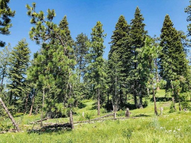 Bordering BLM land that fronts onto National Forest with direct - photo 17