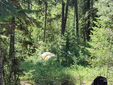 Bordering BLM land that fronts onto National Forest with direct - photo 18