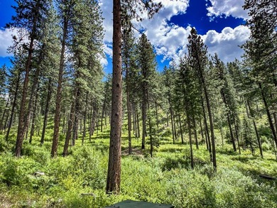 Bordering BLM land that fronts onto National Forest with direct - photo 23