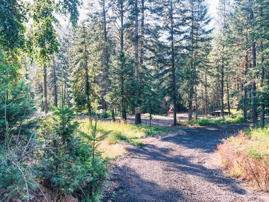 Bordering BLM land that fronts onto National Forest with direct - photo 24