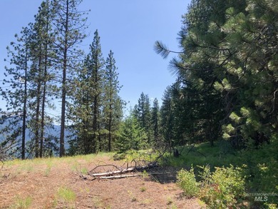 Bordering BLM land that fronts onto National Forest with direct - photo 25