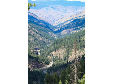 Bordering BLM land that fronts onto National Forest with direct - photo 27